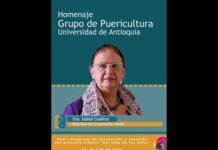 En la voz de la siquiatra Isabel Cuadros