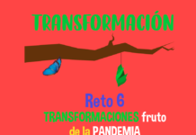 Transitando por los retos que nos deja la pandemia (6) Transitando por los retos que nos deja la pandemia (6)