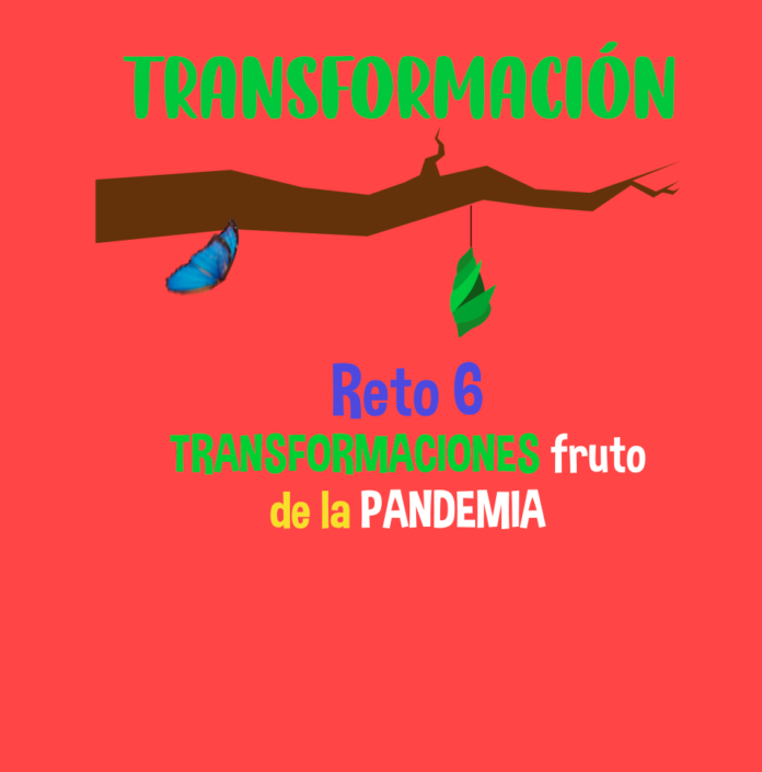 Transitando por los retos que nos deja la pandemia (6) Transitando por los retos que nos deja la pandemia (6)