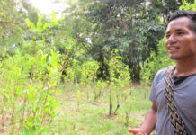 3 de Mayo Conversación “Generación de conocimiento, interculturalidad y políticas públicas»