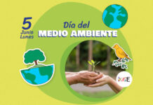 Desafío ambiental: el manejo del plástico