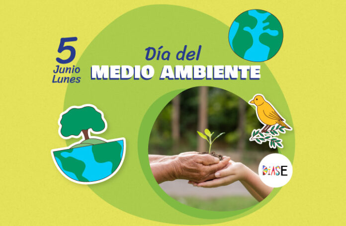 Desafío ambiental: el manejo del plástico