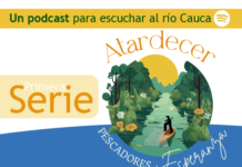 AtardeSer en el río Cauca (1)