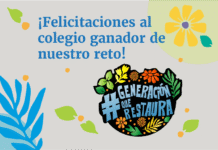 Ganador del reto #GeneraciónQueRestaura