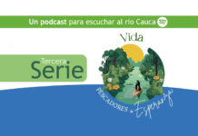 Vida en el río Cauca (3)