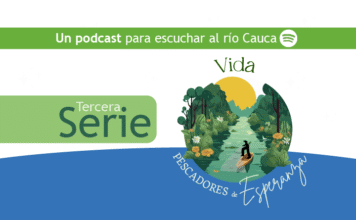Vida en el río Cauca (3)