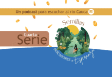 Semillas en el río Cauca (4)