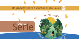 Semillas en el río Cauca (4)