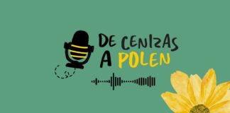 El podcast que transforma el dolor en esperanza