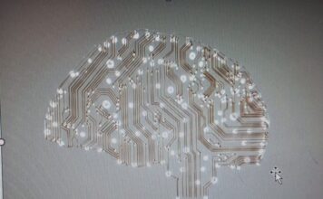 Apuntes para una distopía (3)