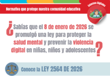 Ley 2564 de 2026: cómo actuar frente a la salud mental y la violencia en entornos digitales en la escuela