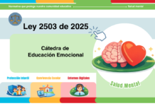 Ley 2503 de 2026: Cátedra de educación emocional