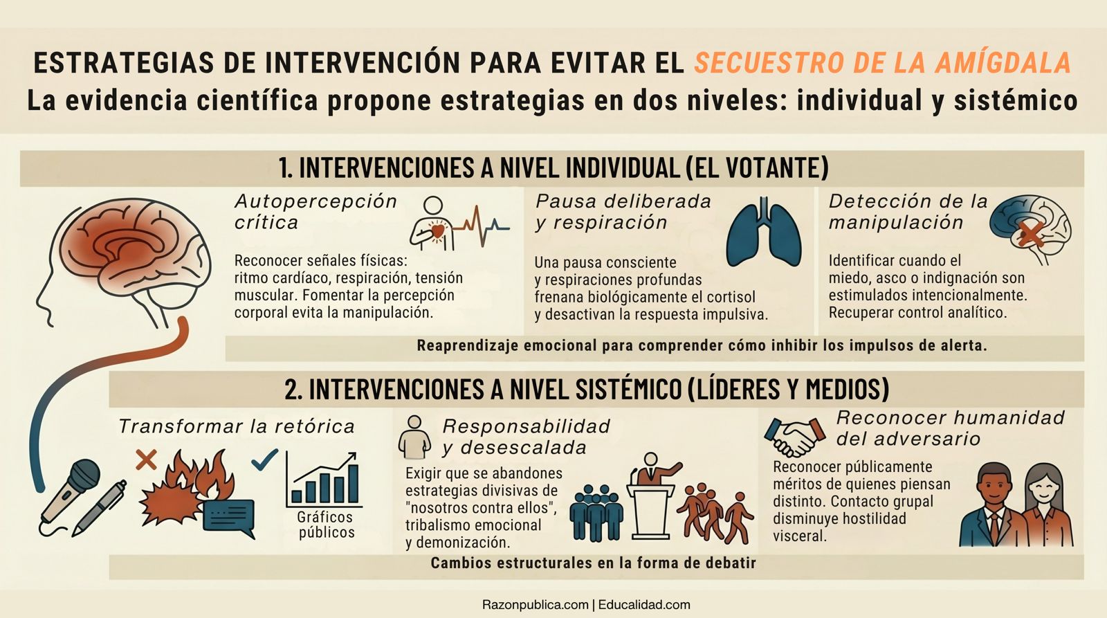 Detector de humo: contra el desorden informativo (64) Votar con la amígdala