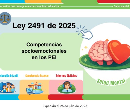 Ley 2491 de 2025: Competencias socioemocionales en los PEI